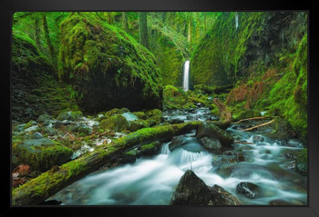 Mossy Grotto Falls Columbia River Gorge Oregon Photo Art Print Black Wood Framed Poster 20x14