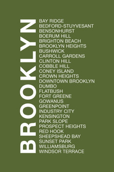 Neighborhoods Brooklyn Astoria Brooklyn Heights Dumbo Flatbush Long Island City Green Cool Wall Decor Art Print Poster 12x18