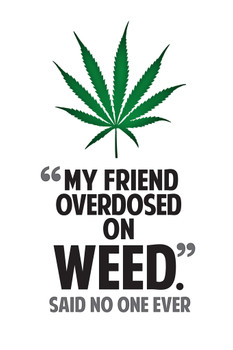 Marijuana My Friend Overdosed On Weed Said No One Ever College Humor Cool Wall Decor Art Print Poster 12x18