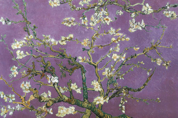 Vincent Van Gogh Almond Blossom Branches Post Impressionist Painter Painting Lilac Cool Wall Decor Art Print Poster 12x18