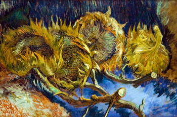 Vincent Van Gogh Four Sunflowers Gone to Seed Van Gogh Wall Art Impressionist Painting Style Nature Spring Flower Wall Decor Vase Bouquet Poster Romantic Artwork Cool Huge Large Giant Poster Art 54x36