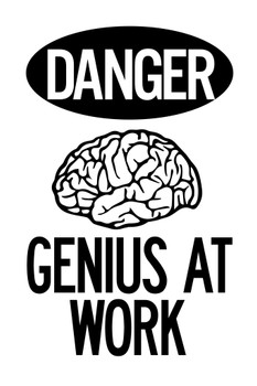 Warning Sign Danger Genius At Work White Cool Wall Decor Art Print Poster 12x18