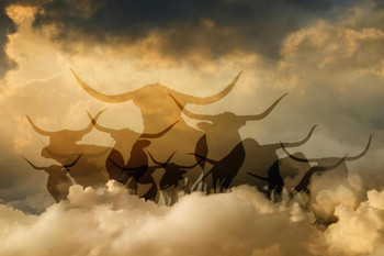 Silhouette of Bulls in Cloudy Sky Wall Street Photo Photograph Cool Wall Decor Art Print Poster 36x24