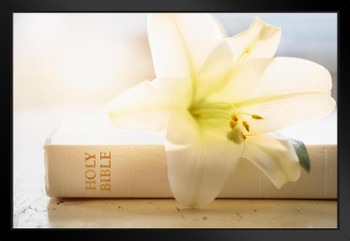 Easter Lily Lying on White Bible Art Print Black Wood Framed Poster 20x14