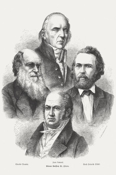 Proponents of Darwinism Charles Darwin 1873 Engraving Cool Wall Decor Art Print Poster 24x36