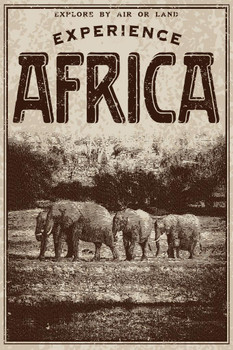 Vintage Victorian Style Experience Africa Advertisement Art Print Cool Huge Large Giant Poster Art 36x54