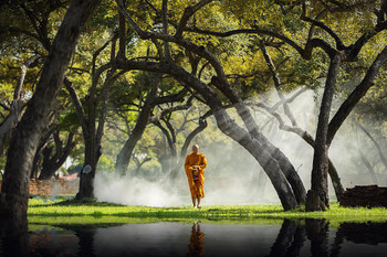 The Morning Walk Buddhist Monk Praying Walking Photo Art Print Cool Huge Large Giant Poster Art 54x36