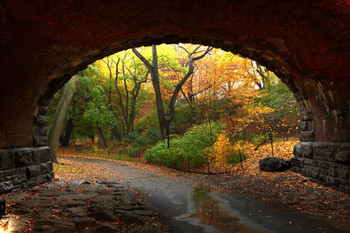 Through the Tunnel Autumn in Central Park NYC Photo Photograph Cool Wall Decor Art Print Poster 36x24