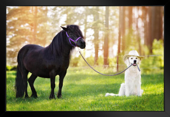 Dog Wearing Cowboy Hat Holding Horse on Leash Funny Photo Art Print Black Wood Framed Poster 20x14