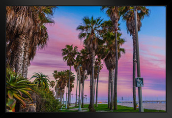 View down Ocean Front Walk Toward Venice Pier Venice Beach California Photo Art Print Black Wood Framed Poster 20x14