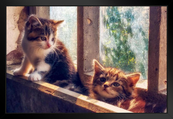 Cute Little Kittens in Window Sill Photo Baby Animal Portrait Photo Cat Poster Cute Wall Posters Kitten Posters for Wall Baby Cat Poster Inspirational Cat Poster Black Wood Framed Art Poster 20x14