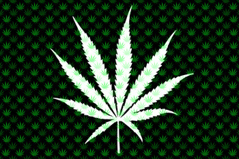 Marijuana Weed Pattern Dark Leaves College Cool Wall Decor Art Print Poster 12x18