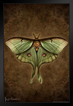 Steampunk Luna Moth by Brigid Ashwood Butterfly Wall Decor Insect Wall Art of Moths and Butterflies Illustrations Black Wood Framed Art Poster 14x20