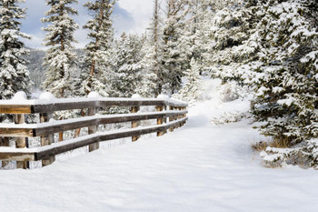 Snowy Forest Path With Fence Winter Landscape Photo Cool Wall Decor Art Print Poster 36x24