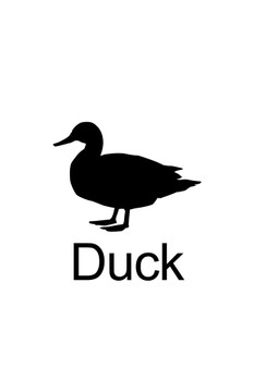 Farm Animal Duck Silhouettes Classroom Learning Aids Barnyard Farming Farm White Cool Wall Art Print Poster 12x18