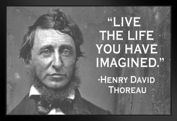 Live The Life You Have Imagined Henry David Thoreau Famous Motivational Inspirational Quote Black Wood Framed Poster 20x14