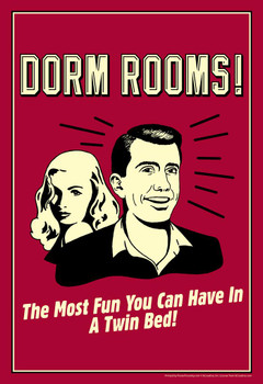 Dorm Rooms! The Most Fun You Can Have In A Twin Bed! Retro Humor Cool Wall Decor Art Print Poster 24x36