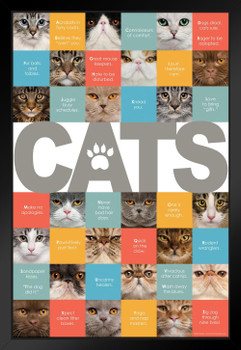 A to Z of Cats Cute Pets Loving Animals Baby Animal Portrait Photo Cat Poster Cute Wall Posters Kitten Posters for Wall Baby Cat Poster Inspirational Cat Poster Black Wood Framed Art Poster 14x20