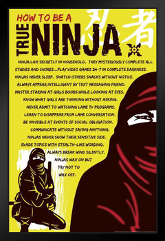 How To be A True Ninja Funny Black Wood Framed Poster 14x20