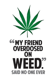 Marijuana My Friend Overdosed On Weed Said No One Ever College Humor Cool Wall Art Print Poster 24x36