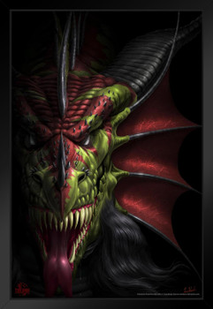 Lair of Shadows Evil Dragon Face by Tom Wood Fantasy Poster Red Green Dragon Fangs Mouth Closeup Black Wood Framed Art Poster 14x20
