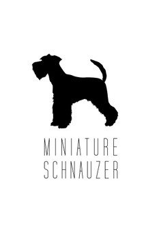 Dogs Miniature Schnauzer White Dog Posters For Wall Funny Dog Wall Art Dog Wall Decor Dog Posters For Kids Bedroom Animal Wall Poster Cute Animal Posters Cool Huge Large Giant Poster Art 36x54