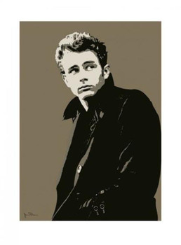 James Dean Jacket Poster 24x32 inch