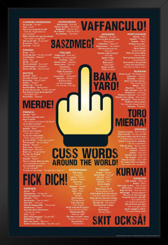 Cuss Words Around The World Languages Black Wood Framed Poster 14x20