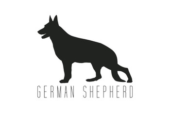 Dogs German Shepherd White Dog Posters For Wall Funny Dog Wall Art Dog Wall Decor Dog Posters For Kids Bedroom Animal Wall Poster Cute Animal Posters Cool Wall Art Print Poster 36x24