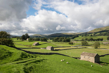 Wensleydale North Yorkshire England Farms Landscape Photo Cool Huge Large Giant Poster Art 54x36