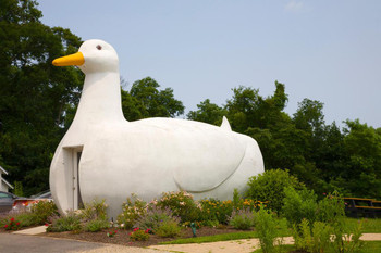 The Big Duck Flanders NY Roadside Attraction Photo Art Print Cool Huge Large Giant Poster Art 54x36