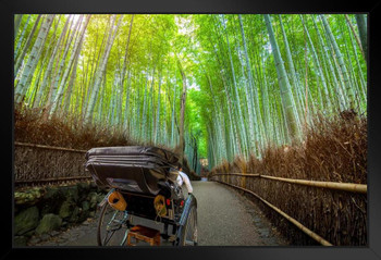 Tourist in a Rickshaw at Bamboo Forest Arashiyama Photo Art Print Black Wood Framed Poster 20x14