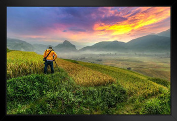 Rice Terraces at Sunrise Tu le Yenbai Vietnam Photo Art Print Black Wood Framed Poster 20x14