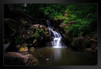 North Woods In Spring by Chris Lord Photo Art print Black Wood Framed Poster 14x20