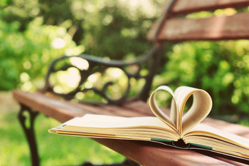 Book with Heart Shaped Pages on a Bench Photo Art Print Cool Huge Large Giant Poster Art 54x36