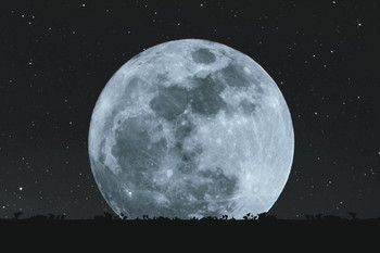 Full Moon At Night With Stars Silhouette Grass Lawn Photo Cool Wall Art Print Poster 18x12