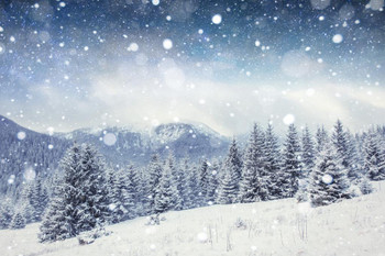 Snowy Winter Night Mountain Forest Starry Sky Pine Trees Photo Cool Wall Decor Art Print Poster 36x24