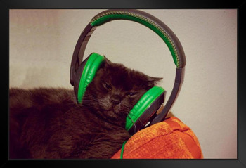 Cool Cat with Headphones Photo Photograph Cool Cat Poster Funny Wall Posters Kitten Posters for Wall Funny Cat Poster Inspirational Cat Poster Music Black Wood Framed Art Poster 20x14