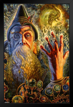 Wizard by Myles Pinkney Black Wood Framed Art Poster 14x20