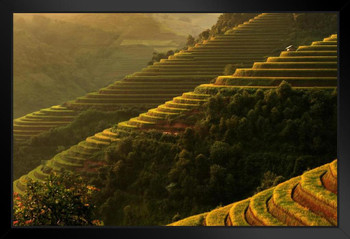 Panorama Rice Terraces in Mu Cang Chai Yenbai Vietnam Photo Art Print Black Wood Framed Poster 20x14