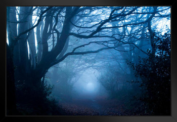 Footpath Through A Misty Woods Photo Photograph Spooky Scary Halloween Decorations Black Wood Framed Art Poster 20x14