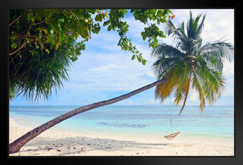 Paradise Tropical Beach Leaning Palm Tree Hammock Rope Swing Overlooking Ocean Photo Black Wood Framed Art Poster 20x14