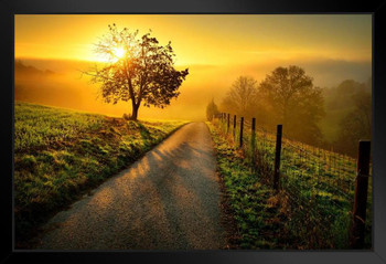 Idyllic Rural Landscape Golden Light Dawn Photo Art Print Black Wood Framed Poster 20x14