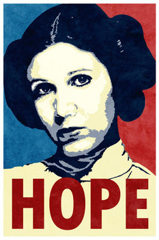 Laminated Hope Propaganda Poster Dry Erase Sign 12x18