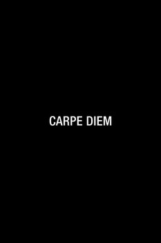 Laminated Carpe Diem Simple Poster Dry Erase Sign 12x18