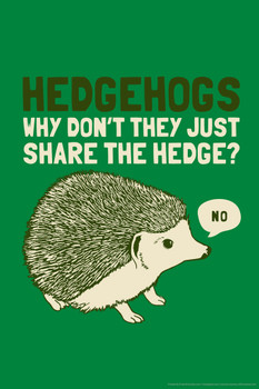 Hedgehogs Why Dont They Just Share The Hedge Humor Cool Wall Art Print Poster 12x18