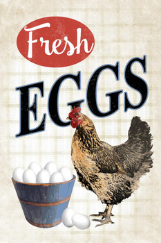 Laminated Fresh Chicken Eggs Farm Stand Kitchen Decor Hen Poster Dry Erase Wall Art 12x18