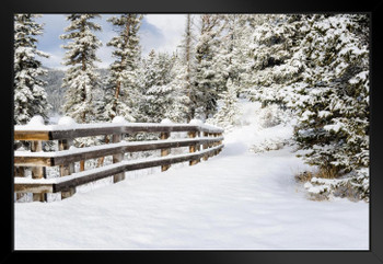 Snowy Forest Path With Fence Winter Landscape Photo Matted Framed Art Print Wall Decor 20x26 inch
