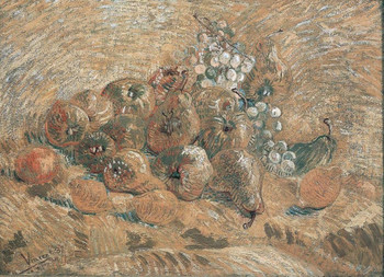 Vincent Van Gogh Quinces Lemons Pears And Grapes 1887 Oil On Canvas Still Life Art Cool Wall Art Print Poster 12x18