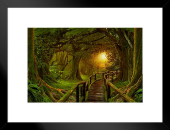 Sunset Deep Tropical Jungle Footpath Bridge Landscape Photo Matted Framed Art Print Wall Decor 26x20 inch
